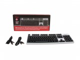 Spoiler warning! Inside the box, there's a keyboard.